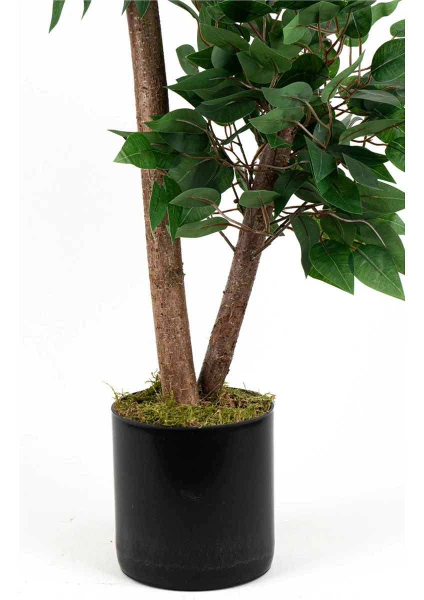 Yoğun Yapraklı 2 Gövde Yapay Benjamin Ağacı 110 cm